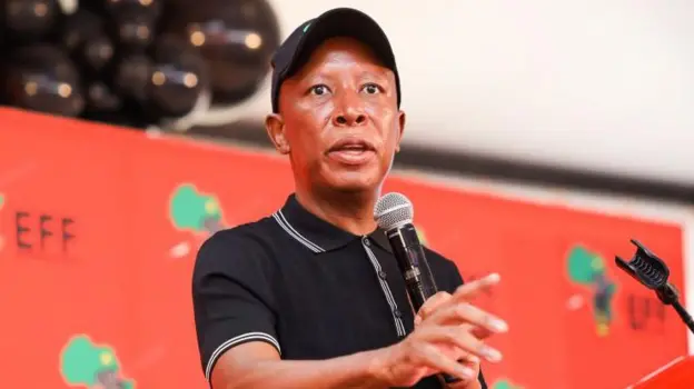 South African opposition politician hits out after failing to get UK visa