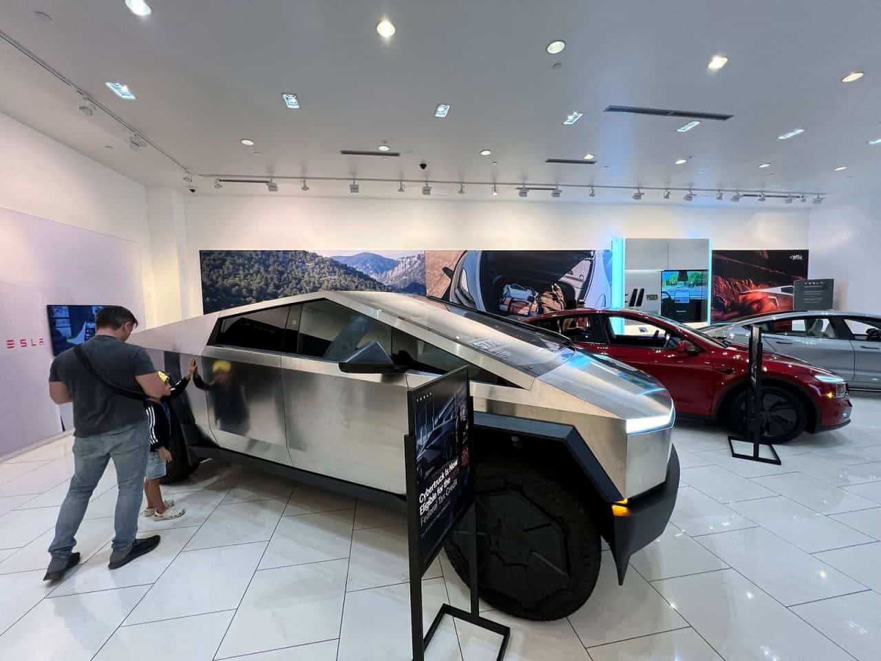 Tesla stock selloff